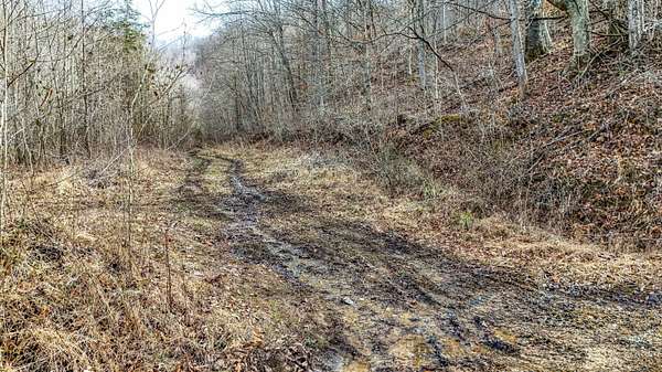 123 Acres of Land for Sale in Barbourville, Kentucky