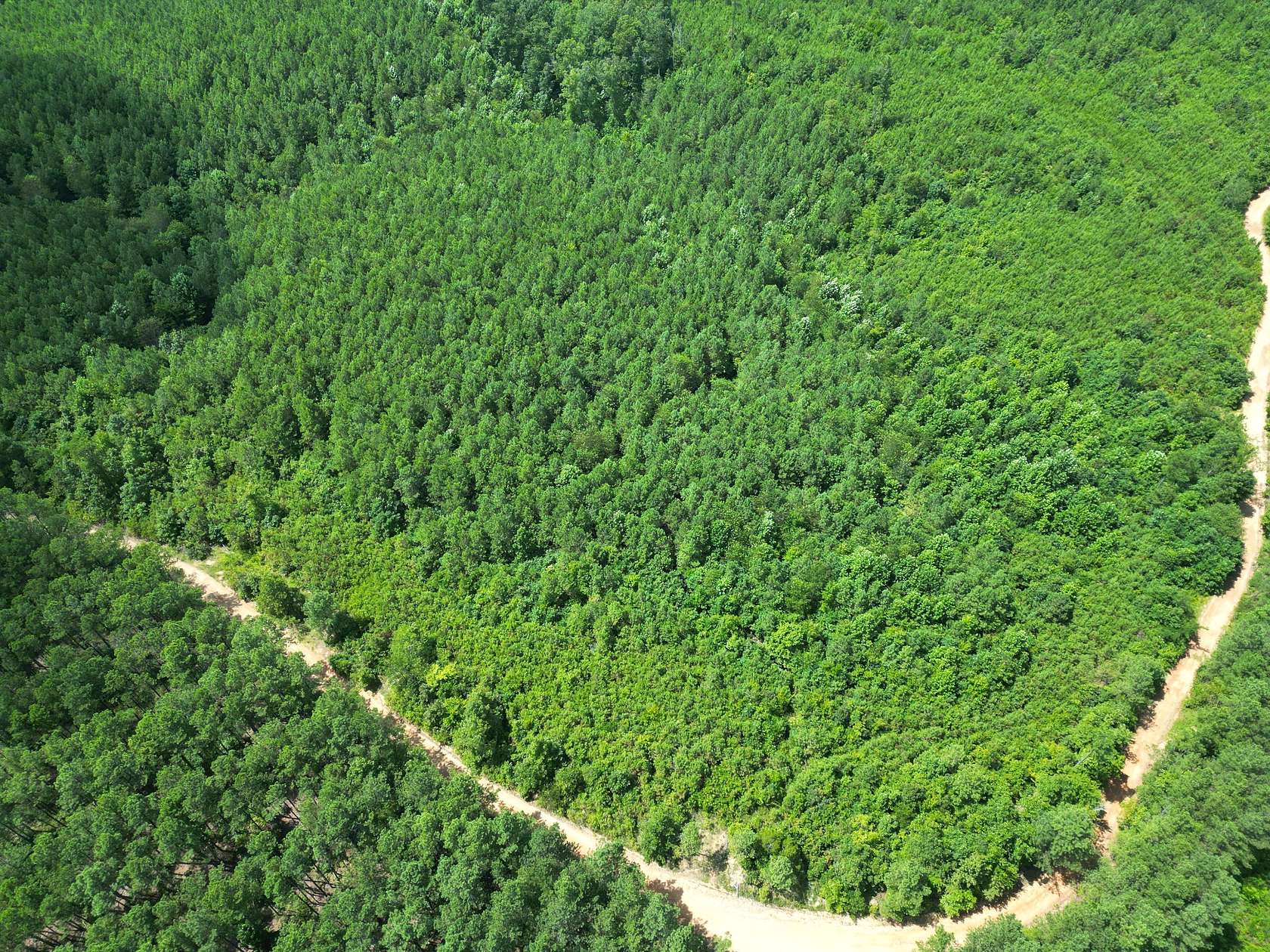 20 Acres of Recreational Land for Sale in Hohenwald, Tennessee