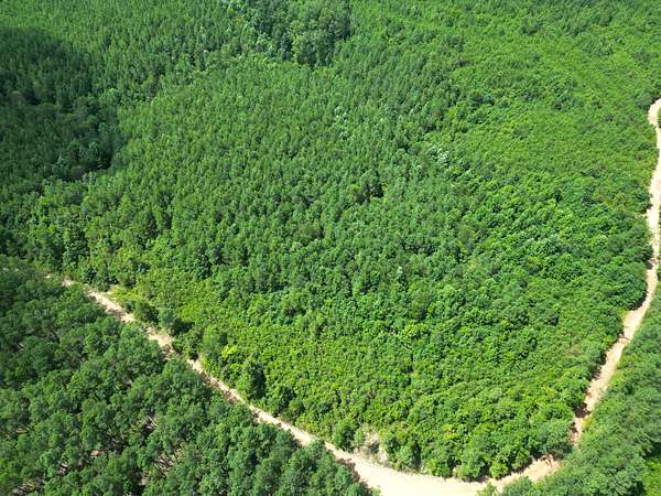 20 Acres of Recreational Land for Sale in Hohenwald, Tennessee