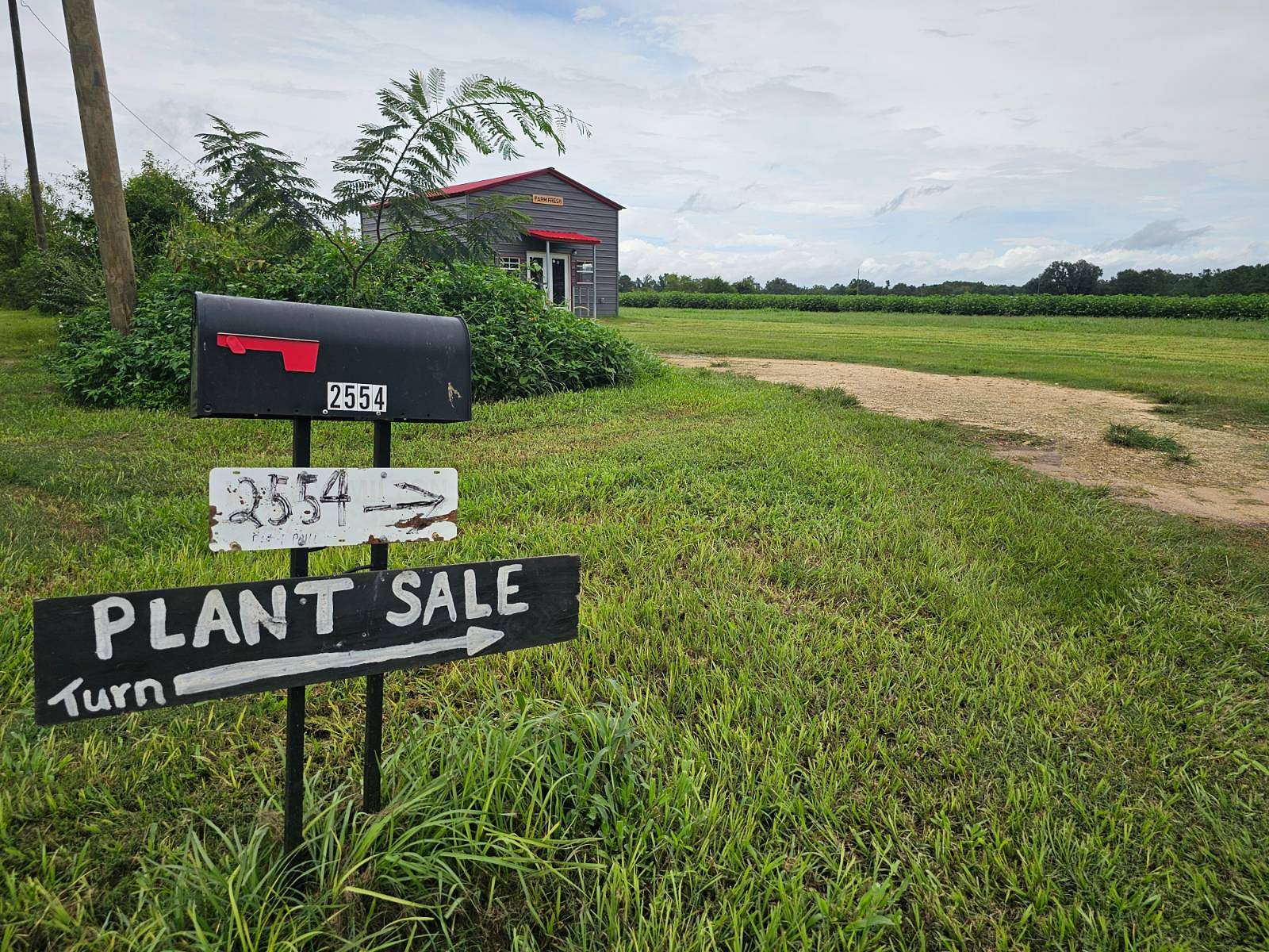 23.3 Acres of Land for Sale in Campbellton, Florida