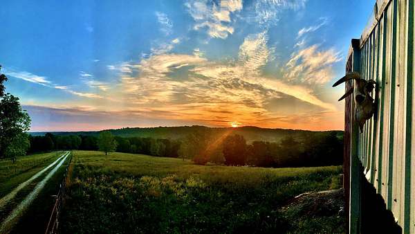 14.5 Acres of Land with Home for Auction in Westphalia, Missouri