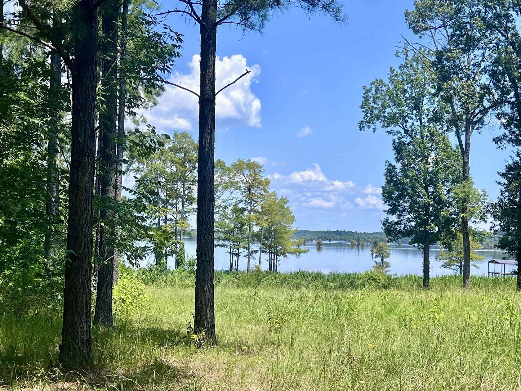 1.2 Acres of Residential Land for Sale in Lewisville, Arkansas