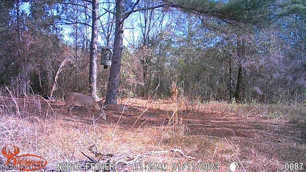 85.3 Acres of Recreational Land for Sale in Monticello, Florida