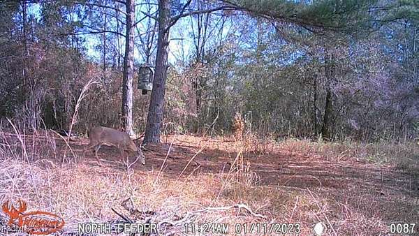 85.3 Acres of Recreational Land for Sale in Monticello, Florida