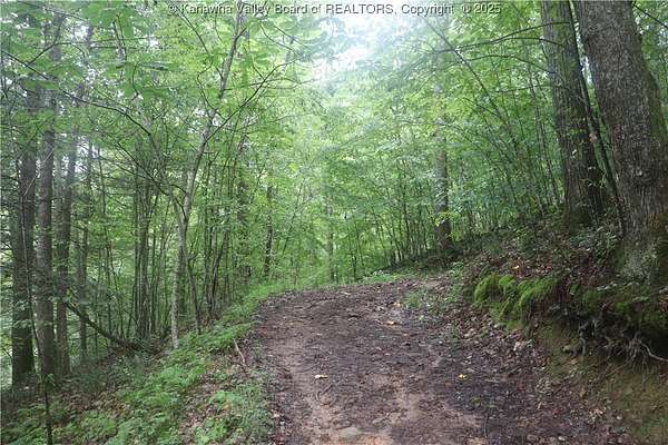 Land for Sale in Ivydale, West Virginia