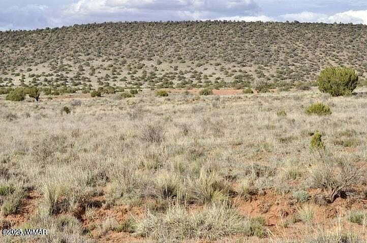 1.1 Acres of Land for Sale in Snowflake, Arizona