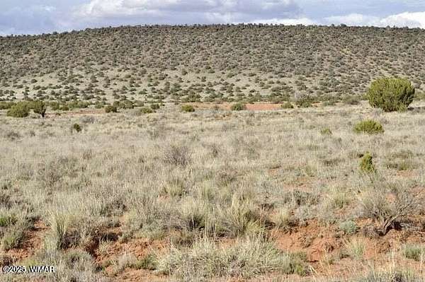 1.1 Acres of Land for Sale in Snowflake, Arizona