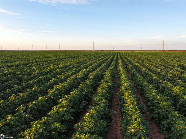 762 Acres of Agricultural Land for Sale in College Station, Texas