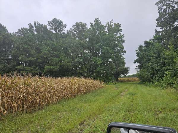 61.8 Acres of Recreational Land & Farm for Sale in Salters, South Carolina