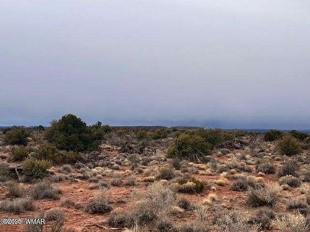 10 Acres of Recreational Land for Sale in Snowflake, Arizona