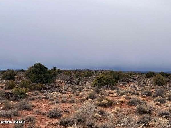 10 Acres of Recreational Land for Sale in Snowflake, Arizona