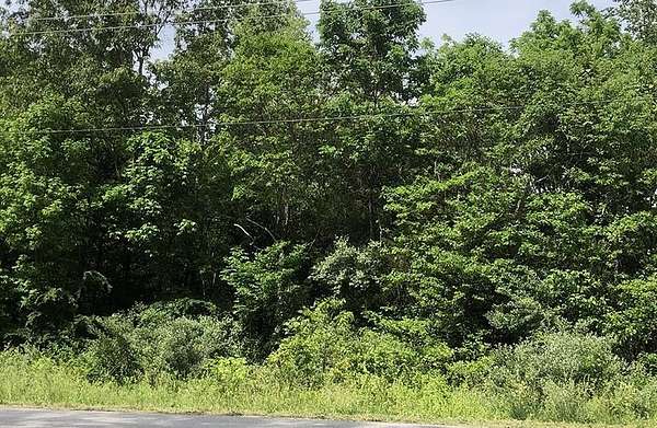 0.24 Acres of Residential Land for Sale in Cherokee Village, Arkansas