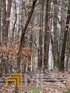 1.4 Acres of Residential Land for Sale in Elberton, Georgia