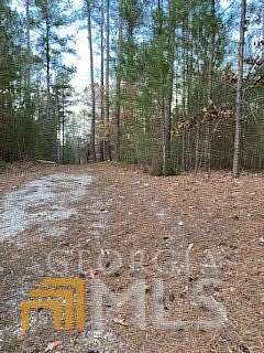 1.4 Acres of Residential Land for Sale in Elberton, Georgia