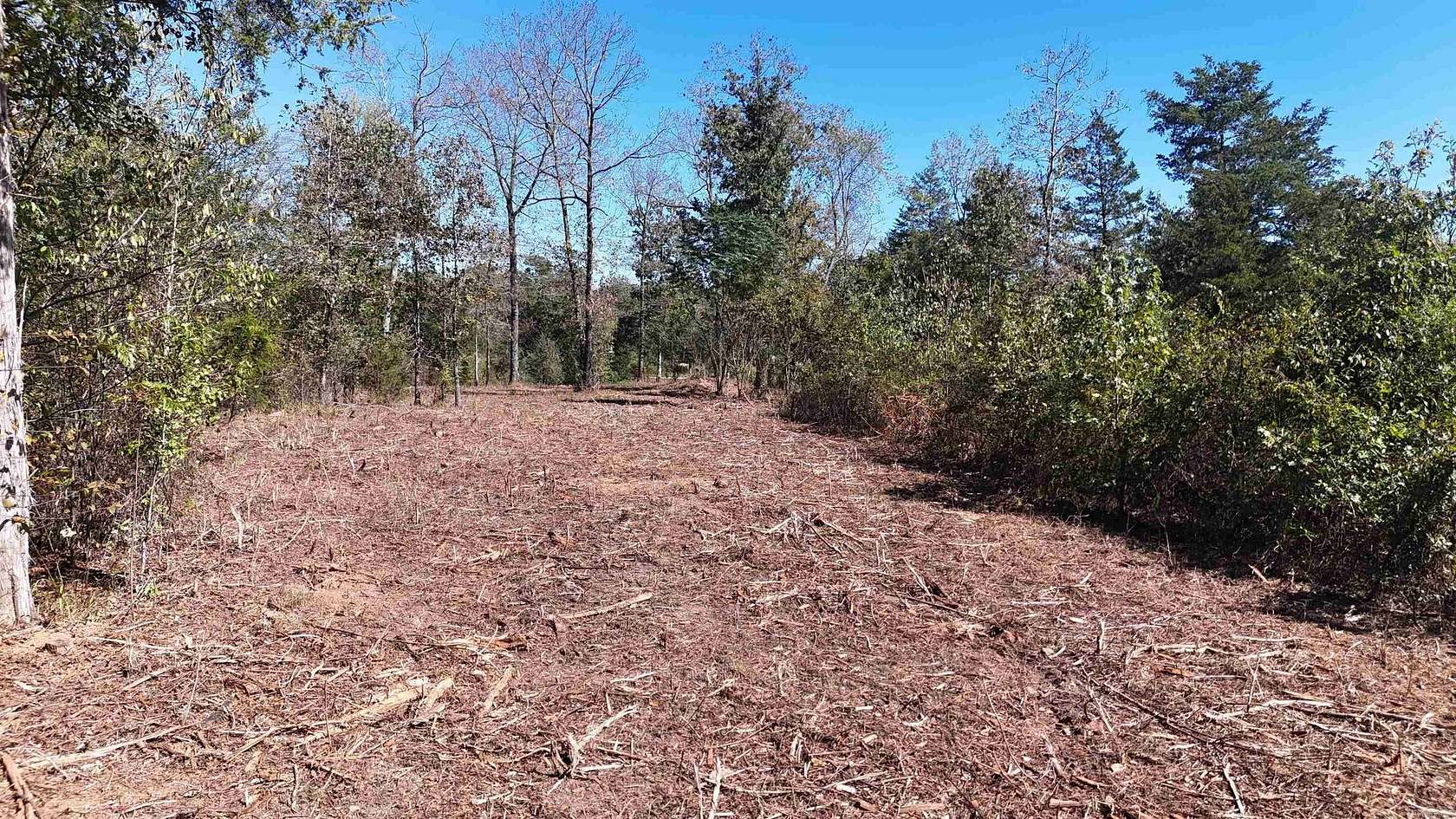 10 Acres of Recreational & Residential Land for Sale in Mena, Arkansas
