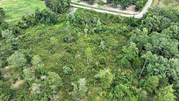 10 Acres of Recreational & Residential Land for Sale in Mena, Arkansas