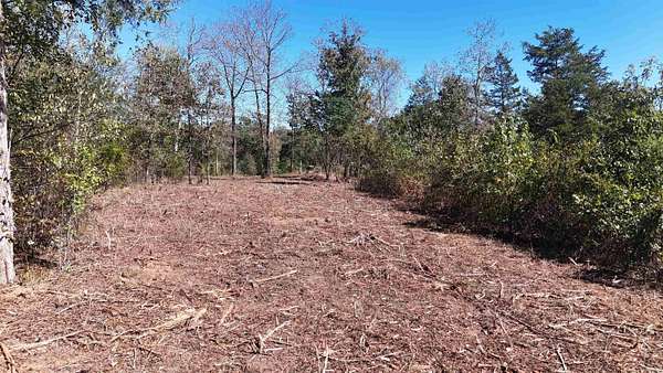 10 Acres of Recreational & Residential Land for Sale in Mena, Arkansas