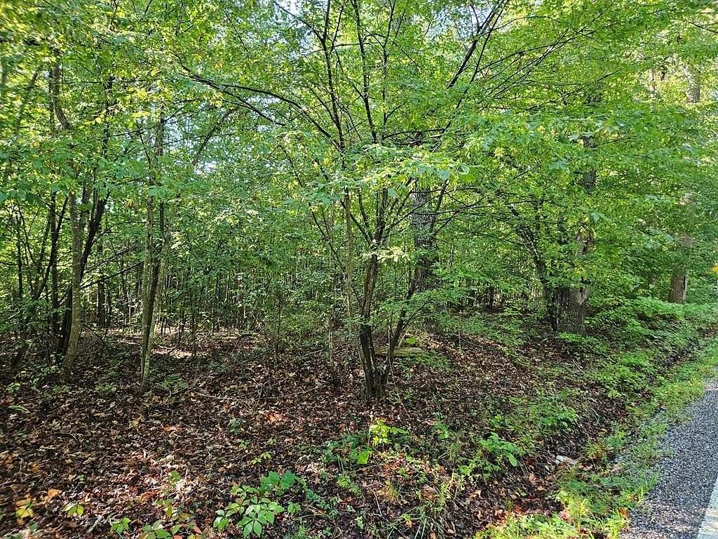 1.5 Acres of Land for Sale in Keysville, Virginia