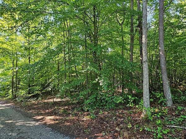 1.5 Acres of Land for Sale in Keysville, Virginia