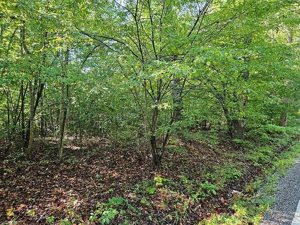 1.5 Acres of Land for Sale in Keysville, Virginia