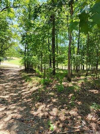 0.32 Acres of Residential Land for Sale in Hot Springs, Arkansas
