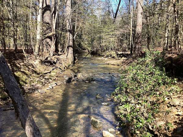 115 Acres of Land for Sale in Newhope, Arkansas