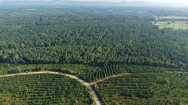 115 Acres of Recreational Land for Sale in Newhope, Arkansas