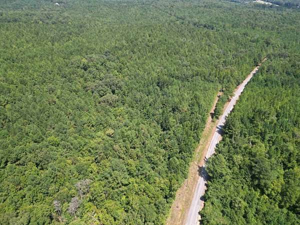 64 Acres of Recreational & Residential Land for Sale in Detroit, Alabama