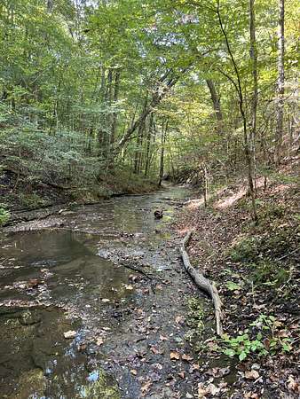 11 Acres of Land for Sale in Franklin, Tennessee