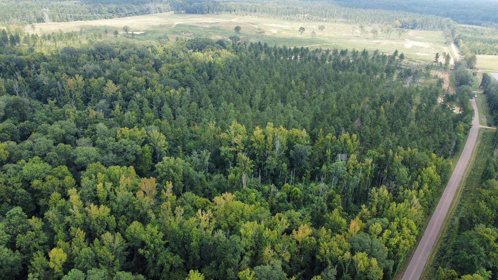 73 Acres of Recreational Land for Sale in Terry, Mississippi