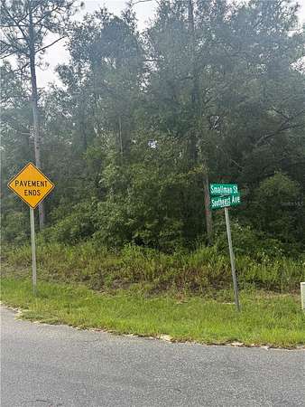 2.14 Acres of Residential Land for Sale in Webster, Florida