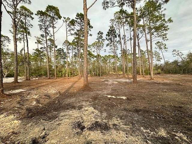 0.24 Acres of Residential Land for Sale in Port St. Joe, Florida
