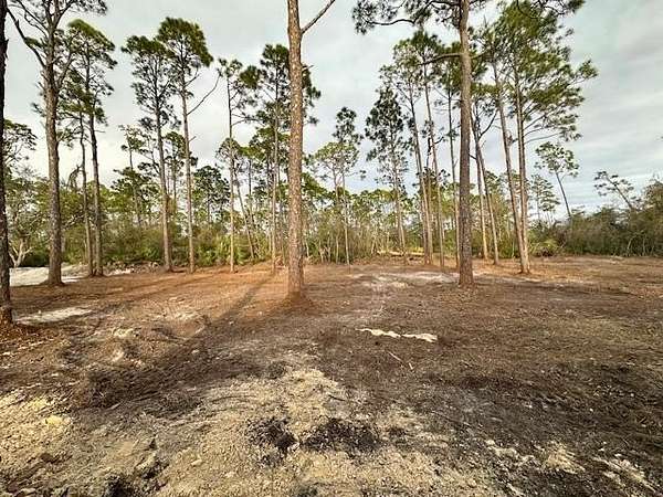 0.24 Acres of Residential Land for Sale in Port St. Joe, Florida