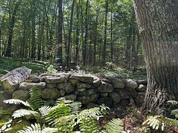 3.3 Acres of Residential Land for Sale in Petersham, Massachusetts