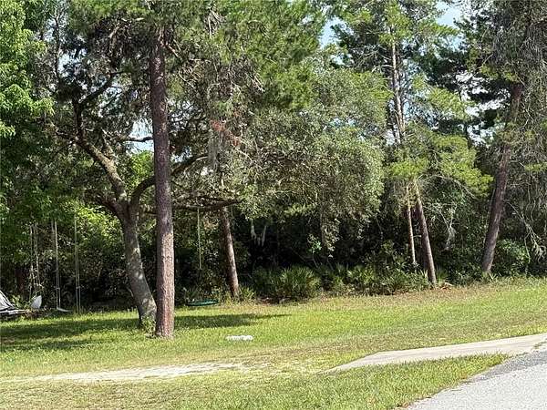 1 Acre of Residential Land for Sale in Eustis, Florida