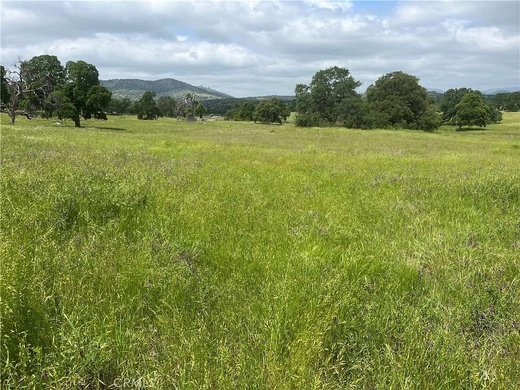 20 Acres of Recreational Land for Sale in Catheys Valley, California