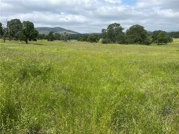 20 Acres of Recreational Land for Sale in Catheys Valley, California