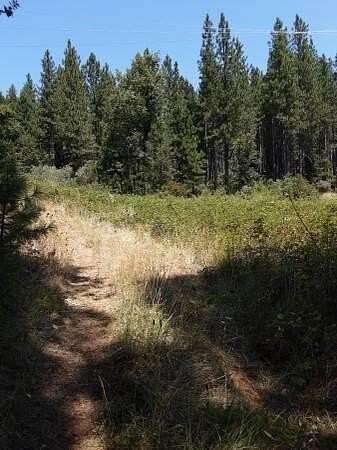 22.2 Acres of Land for Sale in Montgomery Creek, California