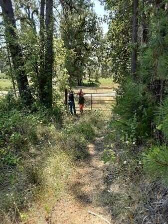 22.2 Acres of Land for Sale in Montgomery Creek, California