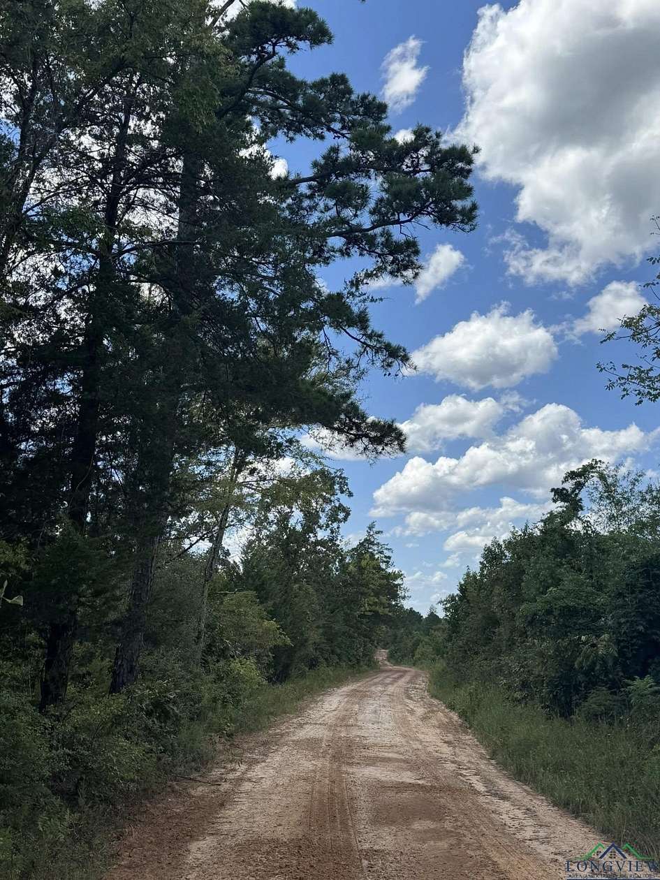 38 Acres of Land for Sale in Linden, Texas