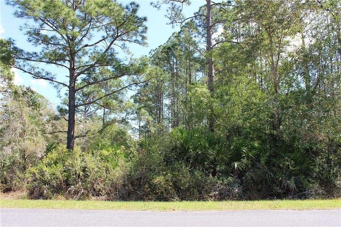 1 Acre of Residential Land for Sale in Eustis, Florida