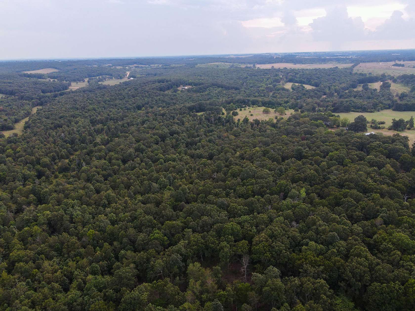 72 Acres of Agricultural Land for Sale in Koshkonong, Missouri