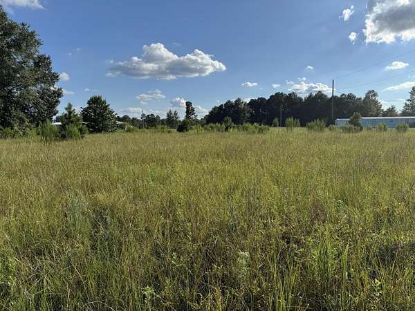 2 Acres of Residential Land for Sale in Gilbert, South Carolina