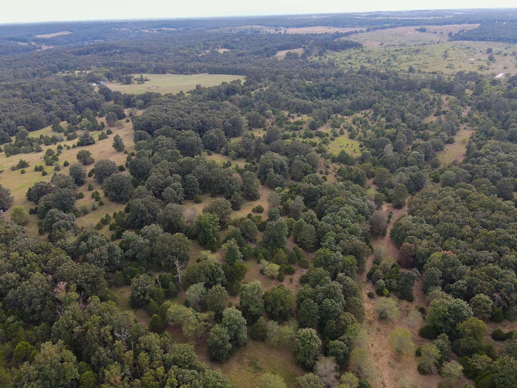 85 Acres of Agricultural & Residential Land for Sale in Koshkonong, Missouri