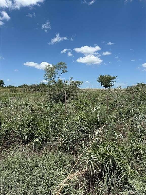 10 Acres of Residential Land for Sale in Gainesville, Texas