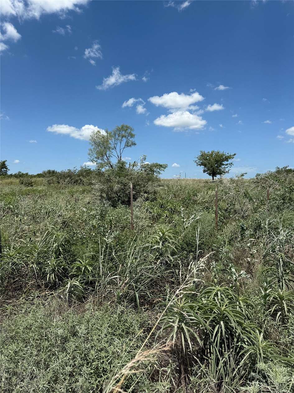 10 Acres of Residential Land for Sale in Gainesville, Texas