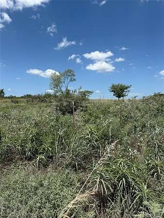 10 Acres of Residential Land for Sale in Gainesville, Texas