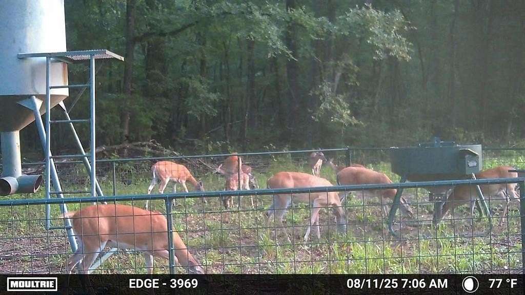 372 Acres of Recreational Land for Sale in Jacksonville, Texas