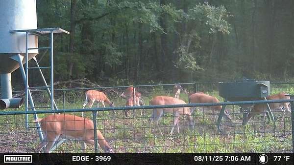 372 Acres of Recreational Land for Sale in Jacksonville, Texas