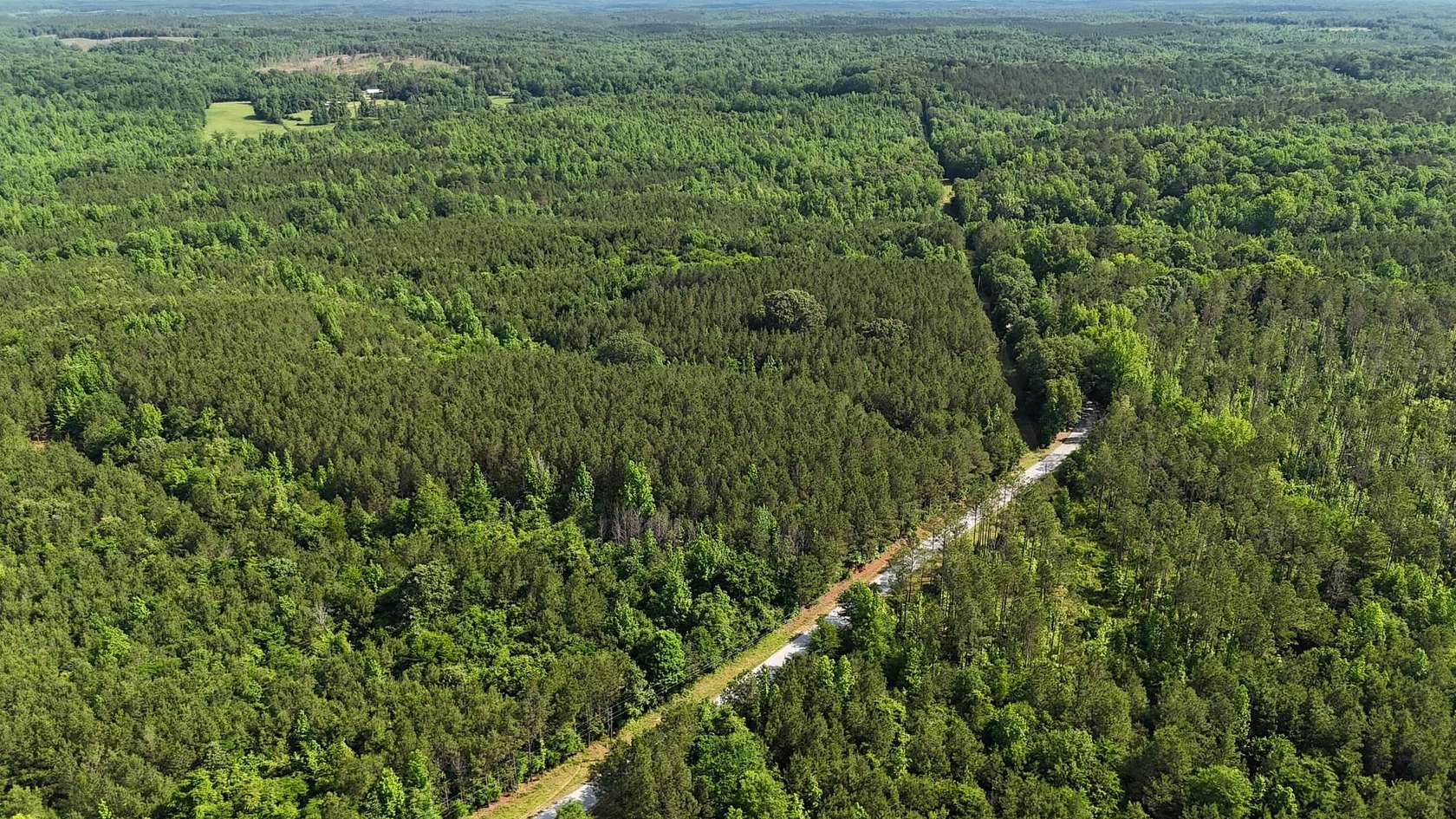 170 Acres of Recreational Land for Sale in Fulton, Mississippi